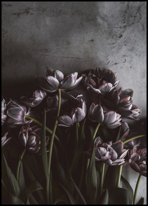 Posterboard Dark tulips mit Rahmen