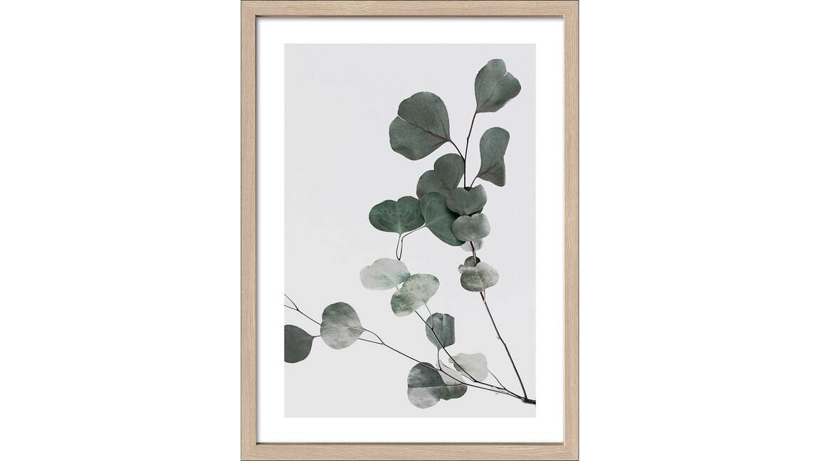 Interliving BEST BUDDYS!  Kunstdruck Scandic Living