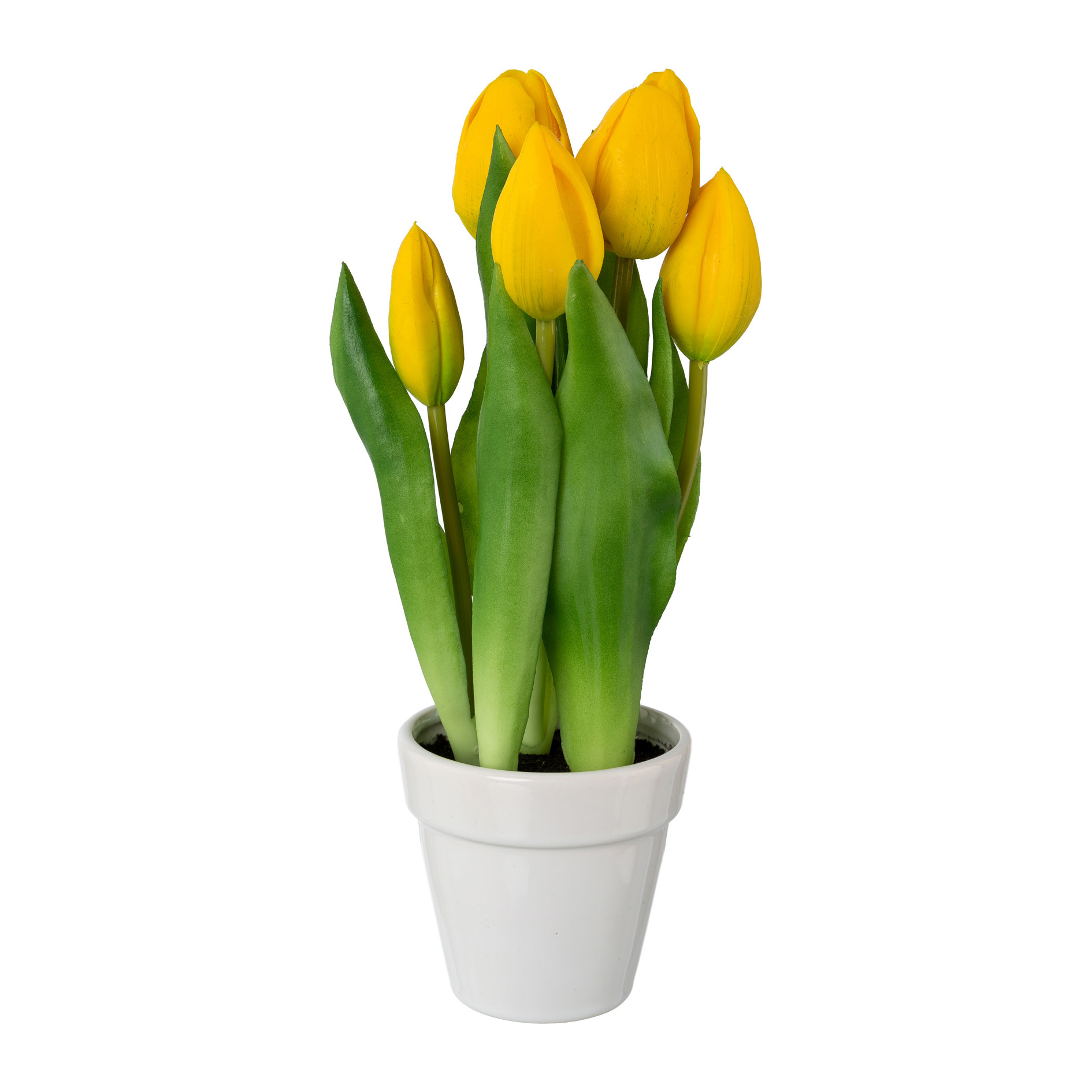 Gasper Tulpen im Keramiktopf x  Velita - gelb