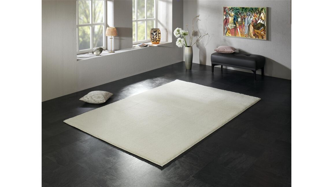 Hochflorteppich Soft Dream für Ihre Wohnaccessoires