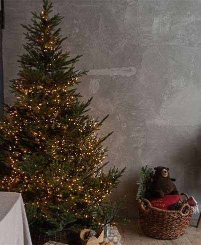 Die Weihnachtsfarben 2022 • Möbel Wassermann