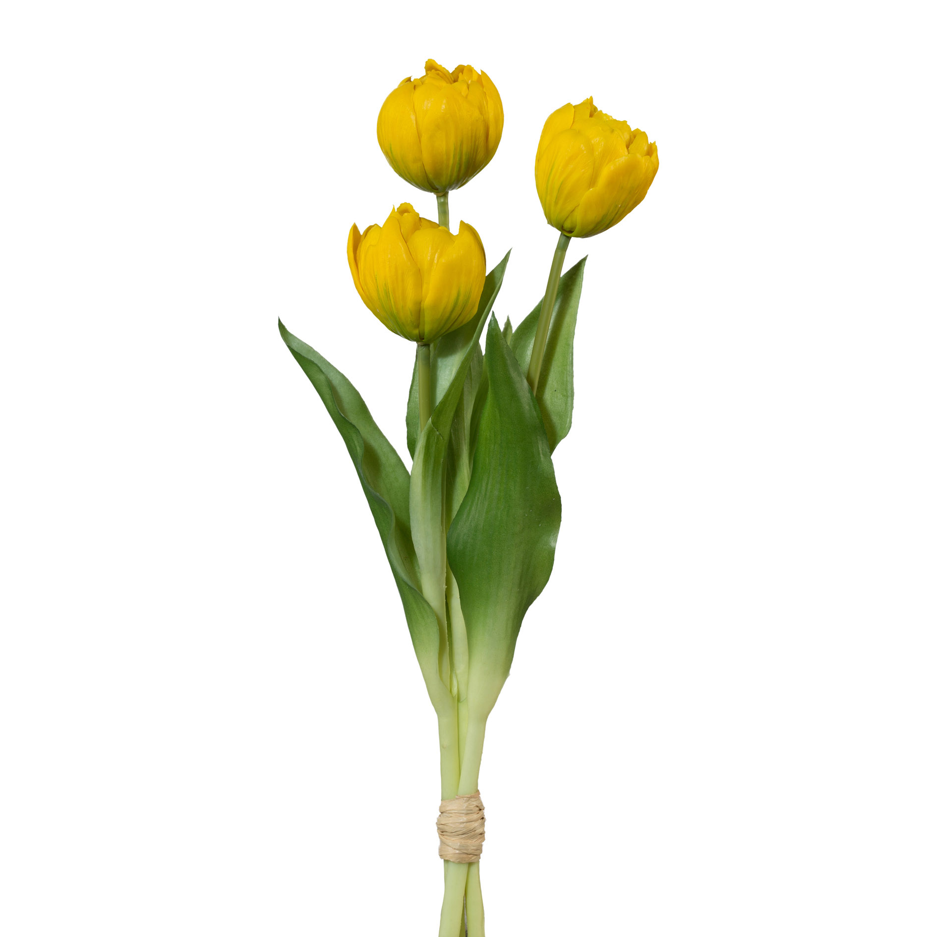 Gasper Gefüllte Tulpen Vastorf - gelb
