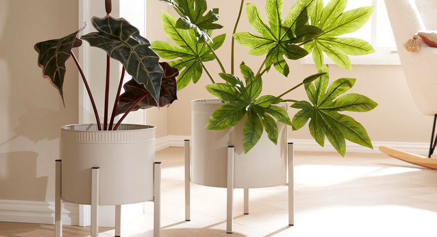 Blumen- & Pflanzengefässe • Möbel Wassermann Blumen- & Pflanzengefässe • Möbel Wassermann