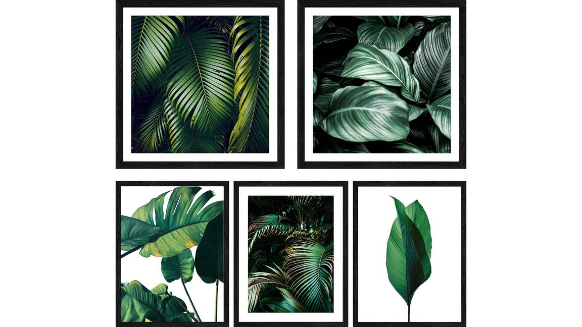 PRO®ART Kunstdruck Jungle Leaves I