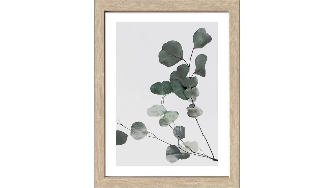 Interliving BEST BUDDYS!  Kunstdruck Scandic Living