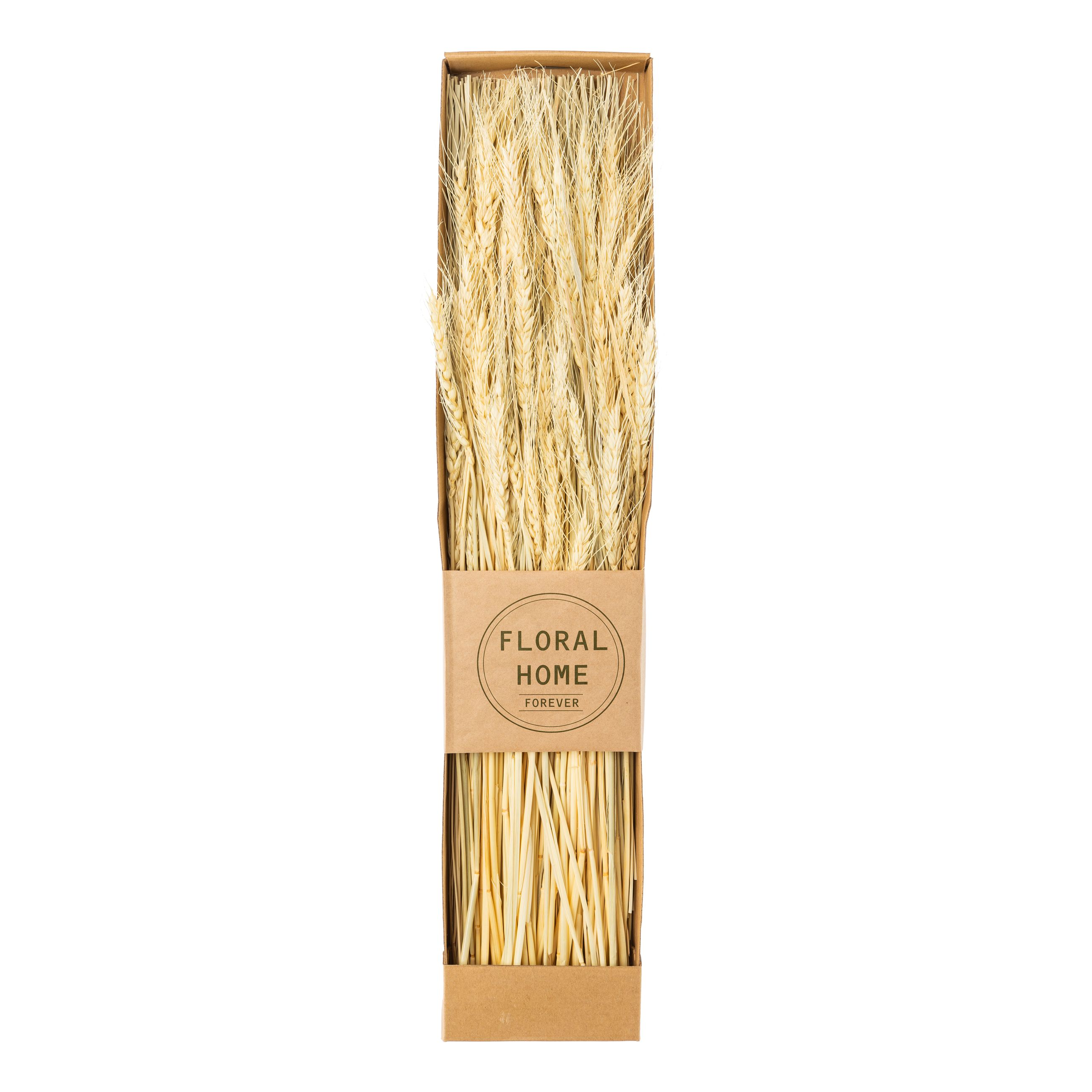 Gasper Trockenblumen Bündel in Craftbox WHEAT - natur