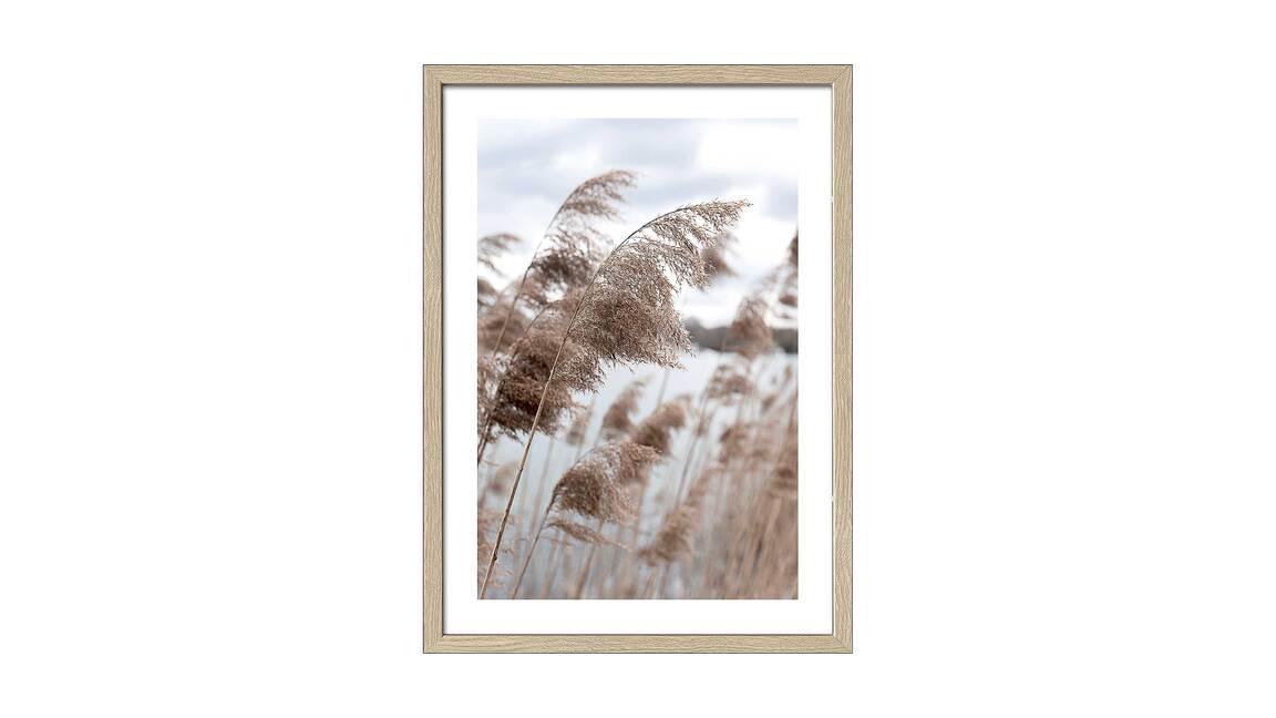 PRO®ART Kunstdruck In the Breeze III